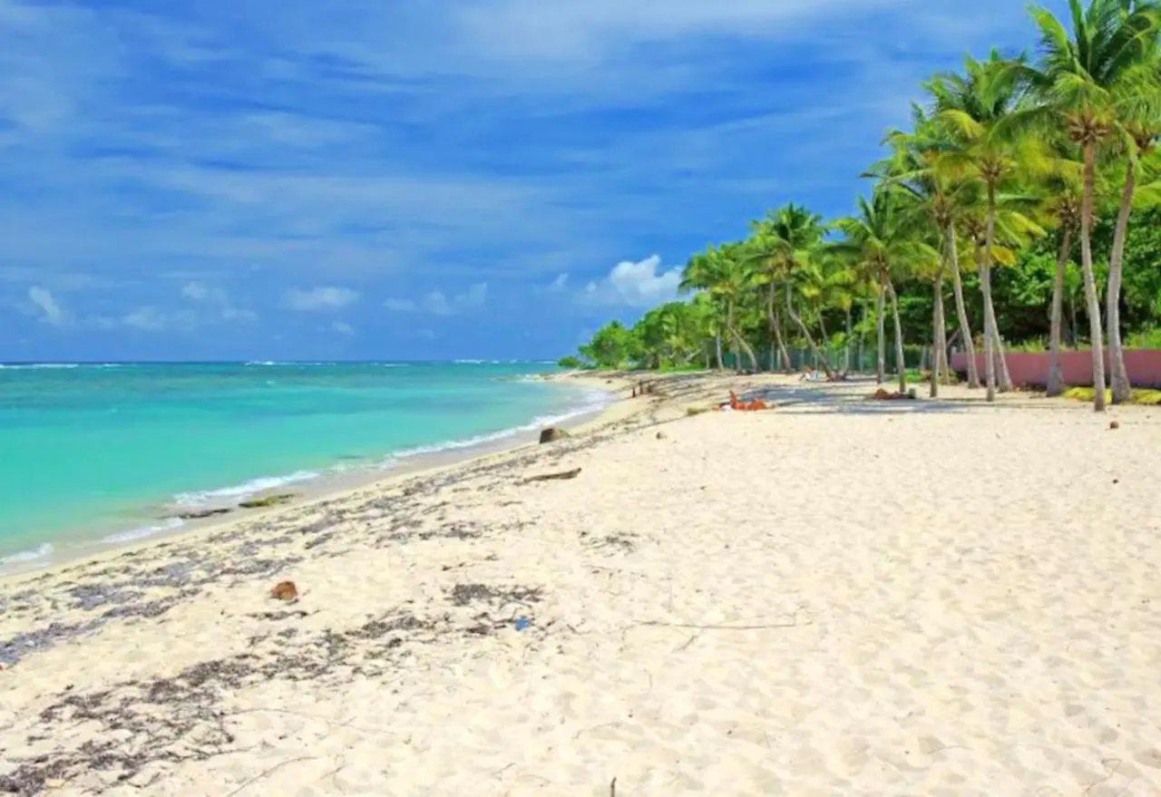 Сasa de vacaciones Maison Charmante A Morne-A-L'Eau Avec Jardin Cloture